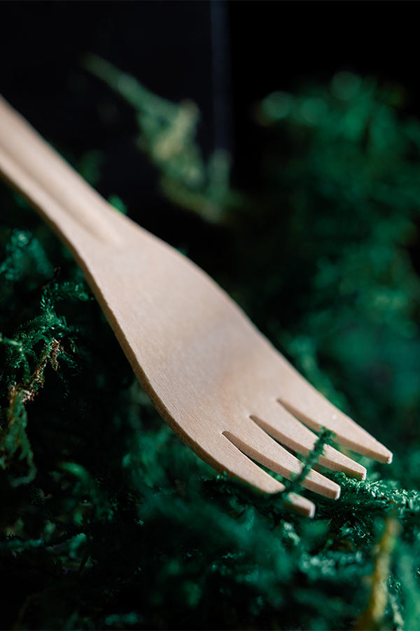 Compostable cutlery wood fork on moss