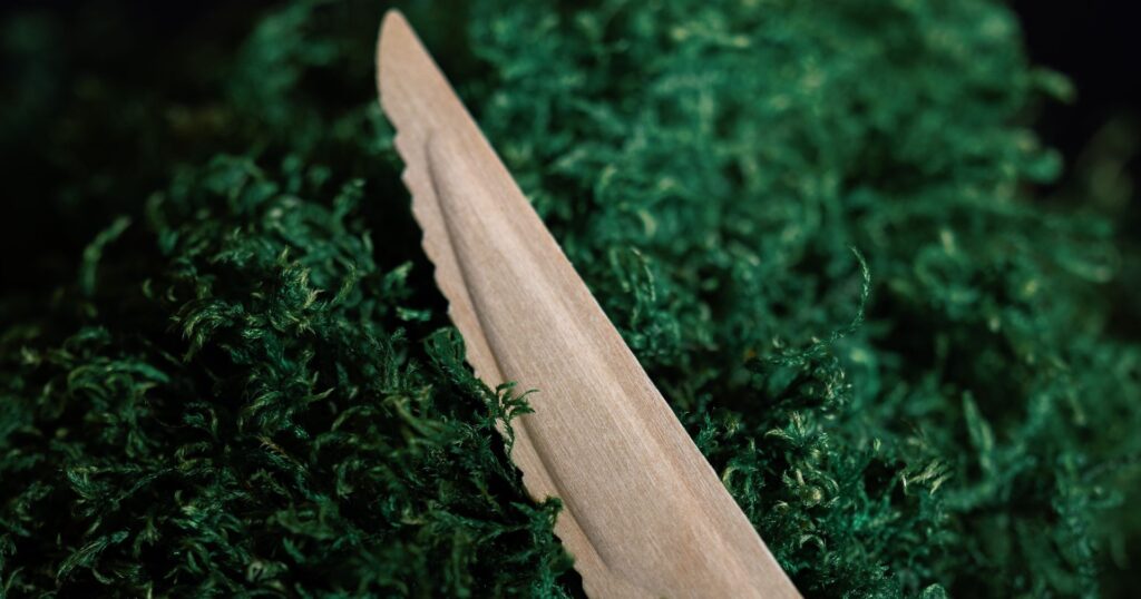 Wood cutlery, wooden knife on a bed of green moss