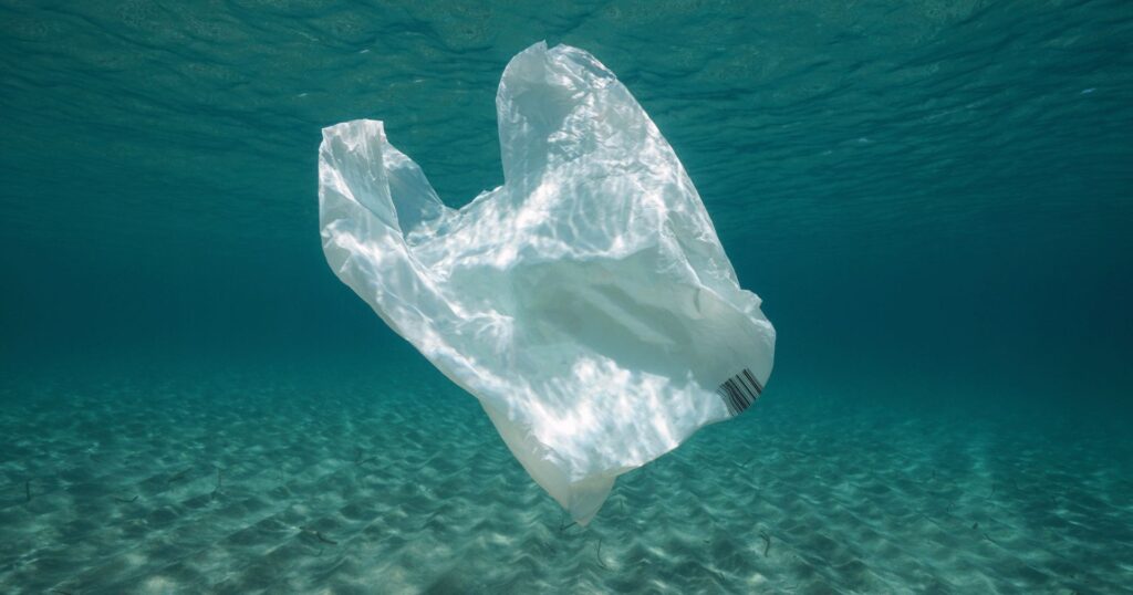plastic ban floating in the ocean